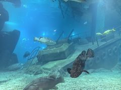 -福州罗源湾海洋世界旅游区