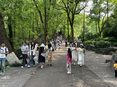 -忠山公园