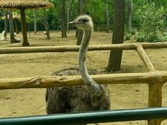 -大连森林动物园