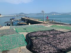 -三亚西岛海洋文化旅游区