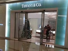 -Tiffany & Co.蒂芙尼
(天津万象城店)