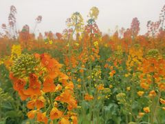 -中国天府农业博览园