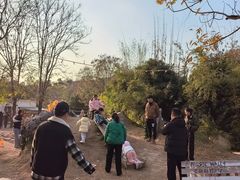 -HERRE·FARM 赫尔露营农场·团建聚会包场