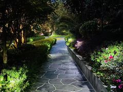 -腾冲洞山温泉村