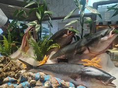 -半岛听涛蒸汽海鲜自助(K11店)