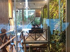 -Rainforest
