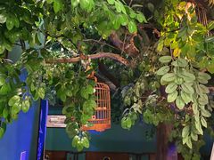 -佬麻雀·剁椒鱼头(京基KK One店)