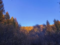 -苏木山森林公园