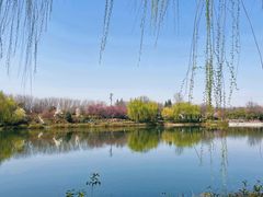 -汉长安城未央宫国家考古遗址公园