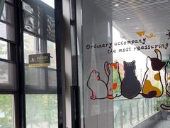 -半岛宠物医院24小时(西派城店)