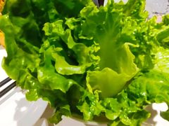 生菜-么子烤肉(化龙池店)