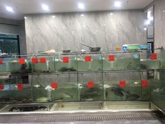 水产区-天和楼·精致太湖酒家(太湖店)