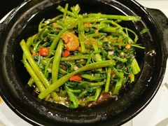 桑巴酱虾米啫空心菜-港丽餐厅