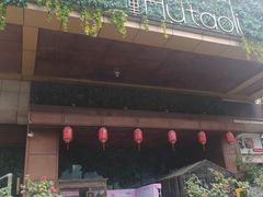 -胡桃里音乐酒馆(石家庄店)