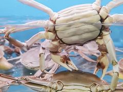 -一品江南韵·淮扬菜