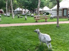 -九十九顶毡房(阜石路店)