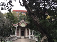 -叶家花园