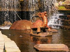 -五营红松林海景区