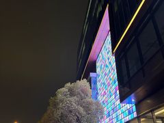 -星巴克臻选(上海虹桥新天地三店)