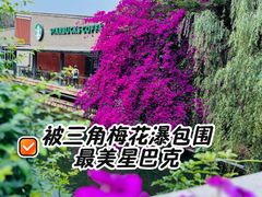 -星巴克(成都天府水街店)