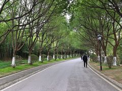 -南京市江宁方山