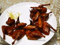 红烧乳鸽-凤凰楼酒家·粤宴点心(华强北店)