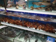 水产区-盒马鲜生(红莲店)