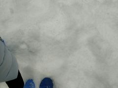 -Mr·Kuma酷么先生雪之乐园