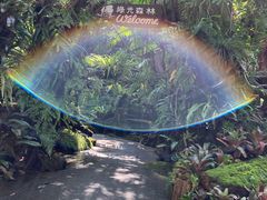 -绿光森林餐厅