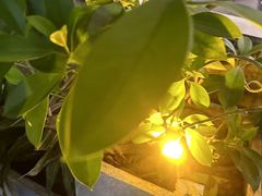 -木屋烧烤(白石洲店)