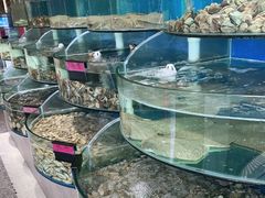 水产区-蓝珊甄选海鲜自助·火锅大排档(近阿那亚店)