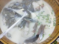 -全乐鱼馆·淳牌有机鱼直营店