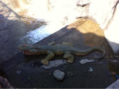 iphone_upload_pic-北京欢乐谷