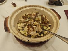 砂锅姜豉焗野生青斑-喜宴又一村·粤菜·茶点·海鲜(壹方天地店)