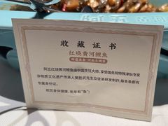 -阿五黄河大鲤鱼(英协路店)