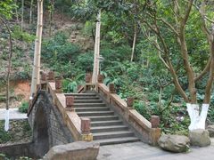 -火炉山森林公园