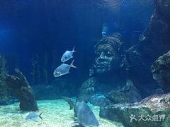 -暹罗海洋世界