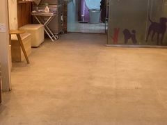 -宠颐生汉谟拉比宠物医院