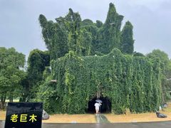 -上海月湖雕塑公园