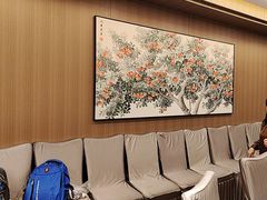 -一品粤珍轩(吴中路店)
