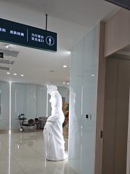 -AIST爱思特医疗美容医院