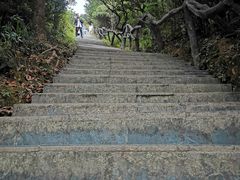 -梧桐山风景名胜区