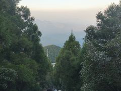 -江西阳明山国家森林公园