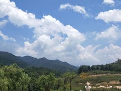 -青峰峡国家森林公园