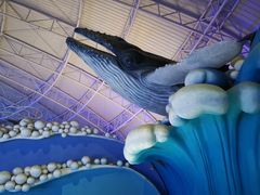 -烟台海昌鲸鲨海洋公园