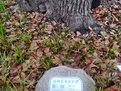 -徐家汇源景区-衡山公园