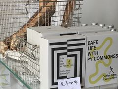 -常识咖啡common sense(春熙路店)