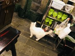 -张记牛肉面馆(天津路店)