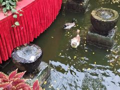 -五邑人家(江门店)