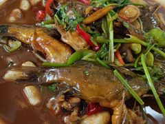 -杨辉饭店